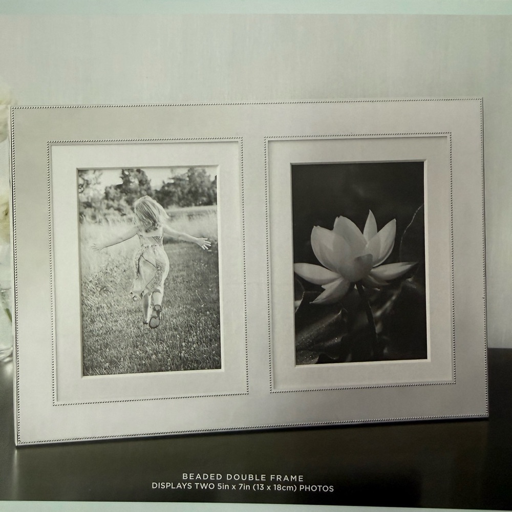Elegant Silver Double Photo Frame